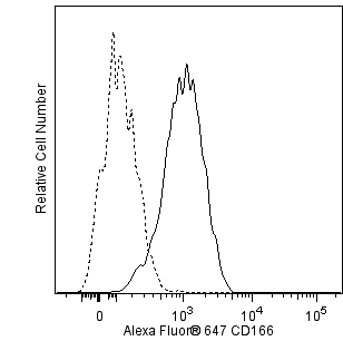 hCD166_A647.png